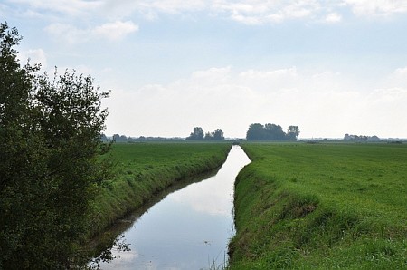 Oldetrijne